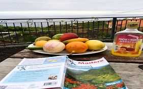 Paraiso Das Flores